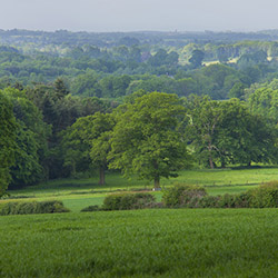 Graylands Estate, Horsham