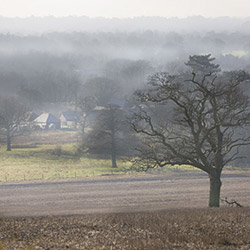 Graylands Estate, Horsham