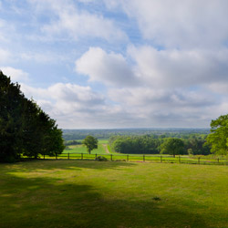 Graylands Estate, Horsham